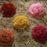 560764621 17844327012587185 7857855031637638673 n